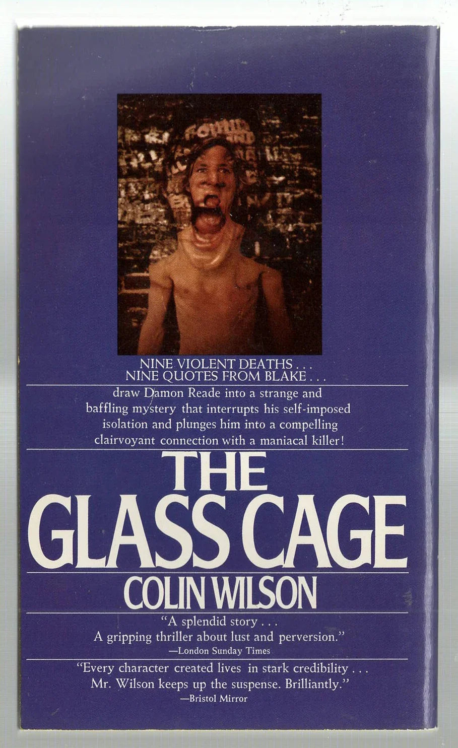 The Glass Cage Crime Fiction horror mystery thriller used Vintage Books