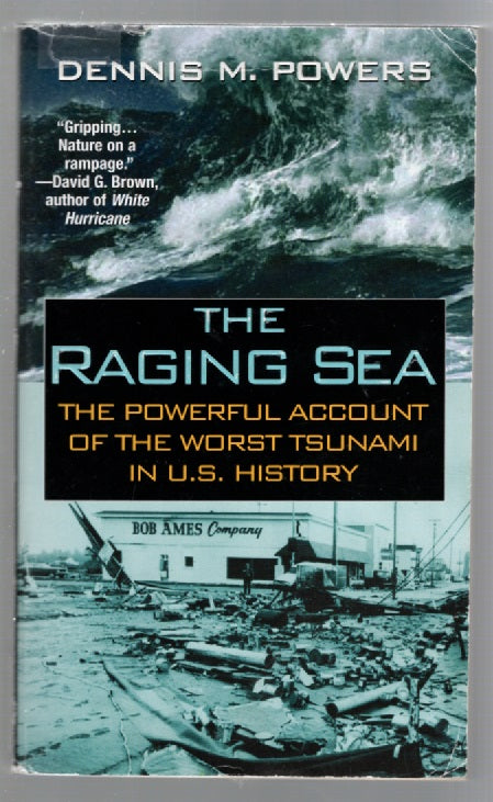 The Raging Sea Disaster History Nonfiction Books