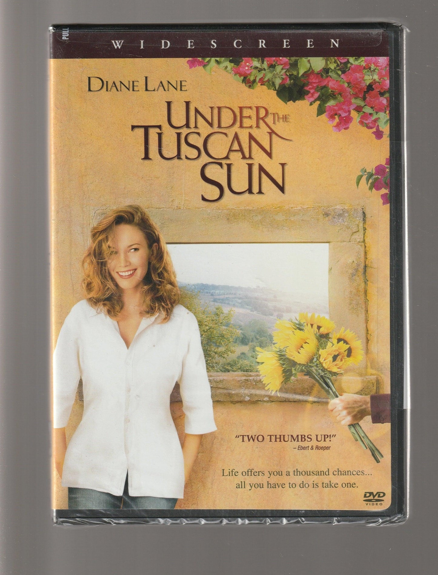 Under the Tuscan Sun dvd fiction Romantic Comedy used dvd