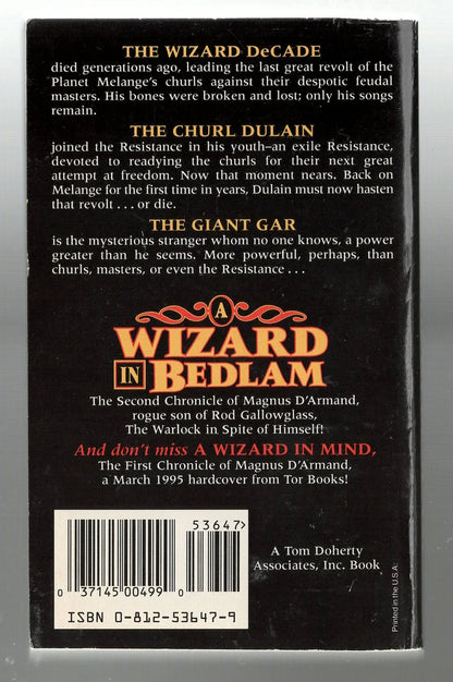 Wizard in Bedlam Action Epic Fantasy fantasy High Fantasy magic used Books
