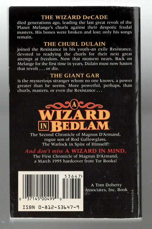 Wizard in Bedlam Action Epic Fantasy fantasy High Fantasy magic used Books