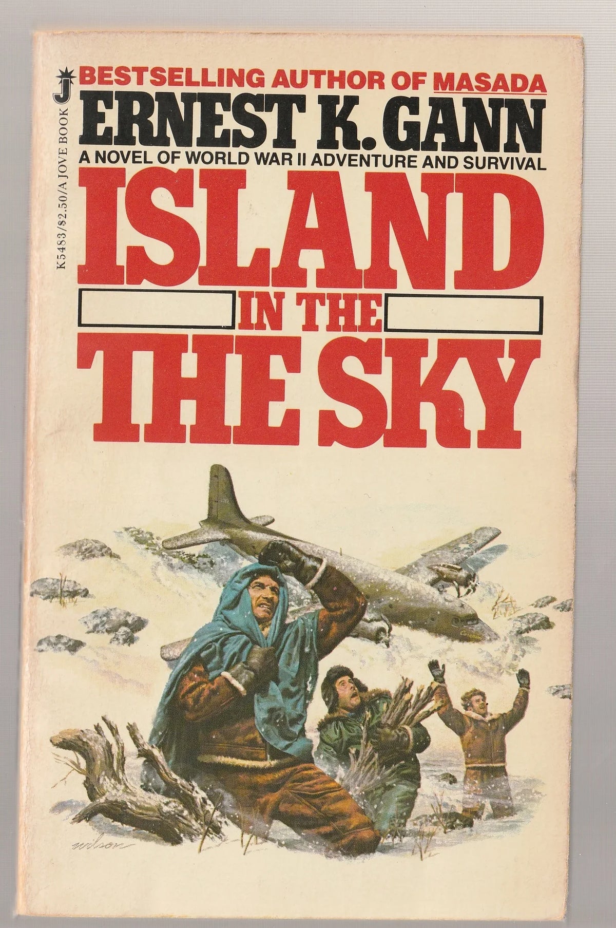 Island in the Sky Adventure Aviation used Books