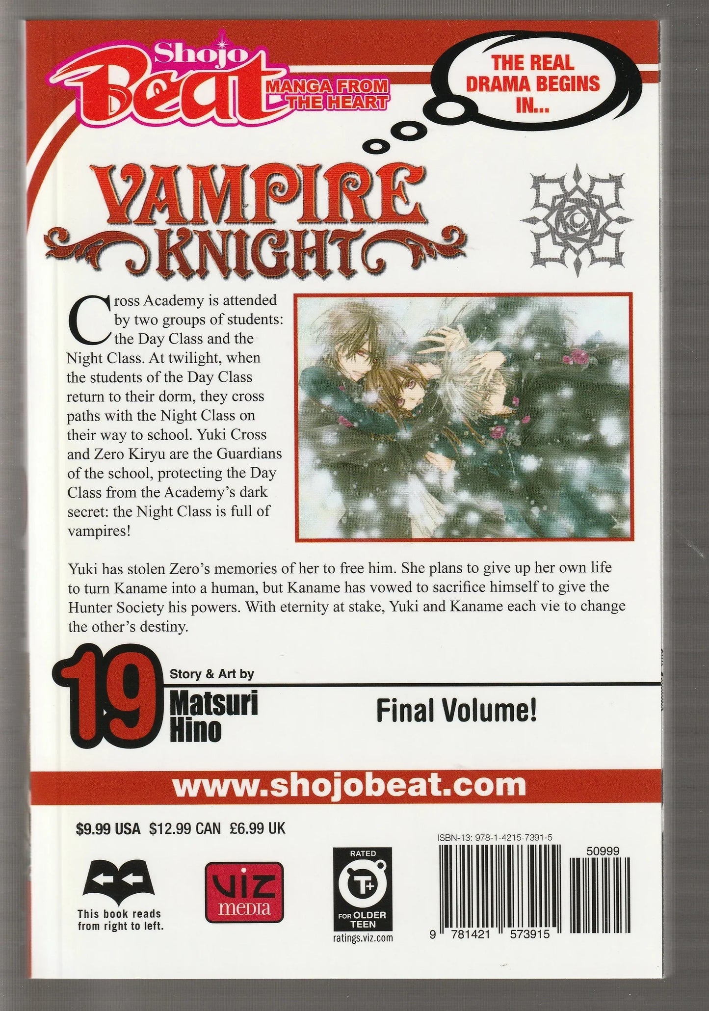 Vampire Knight Volume 19
