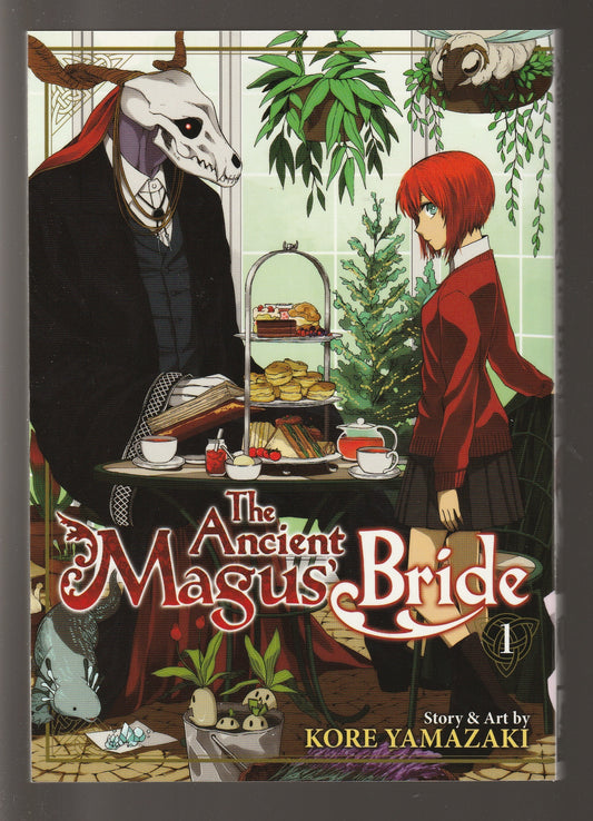 The Ancient Magus Bride volume 1