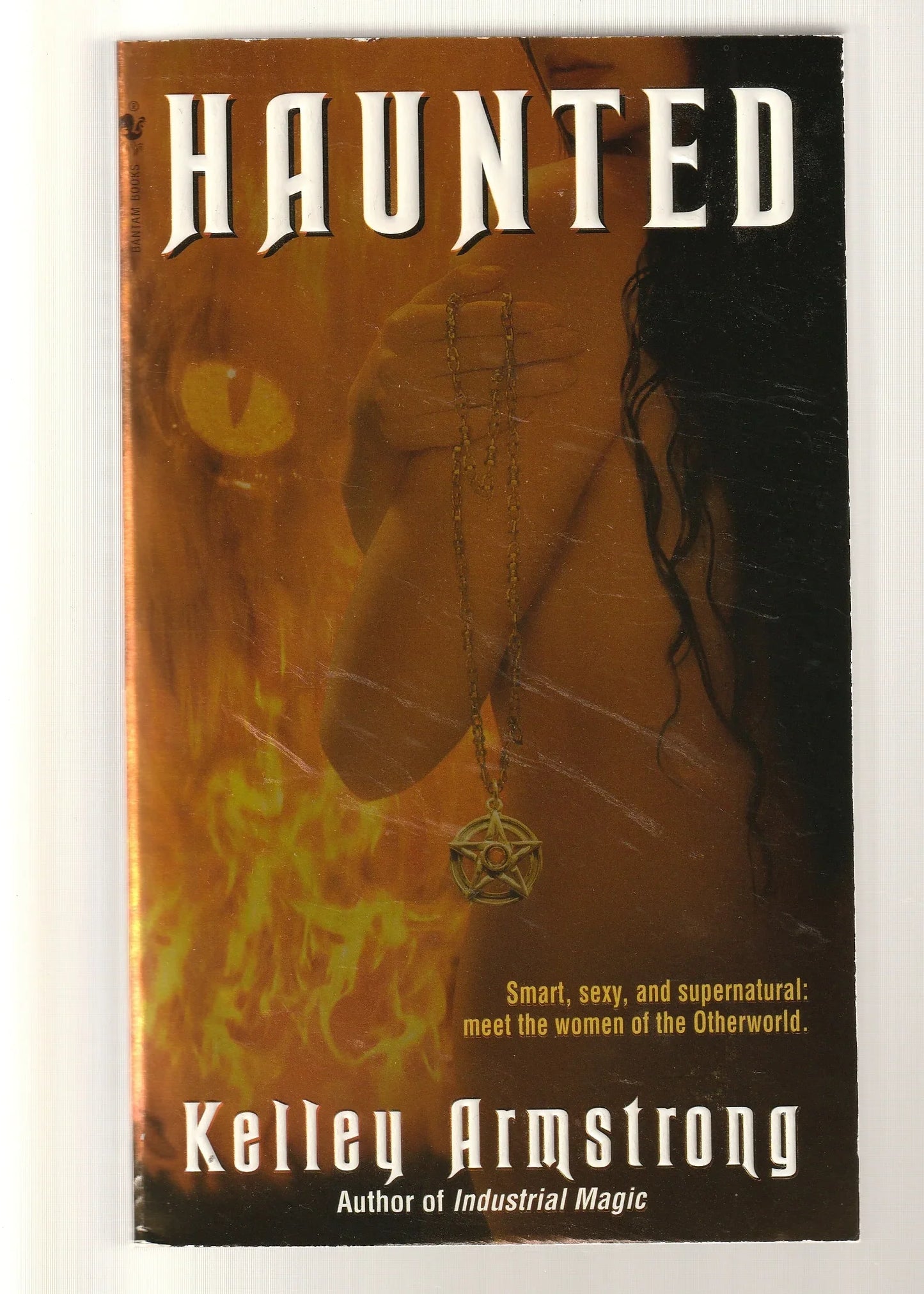 Haunted fantasy paperback Paranormal Paranormal Mystery Paranormal Romance Romance science fiction Science Fiction Fantasy Urban Fantasy used Books