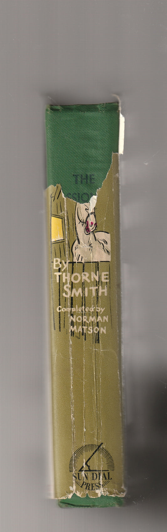 The Passionate Witch Classic classic fiction Comedy fantasy fiction Hardback Humor magic used witch Witchcraft Witches Books