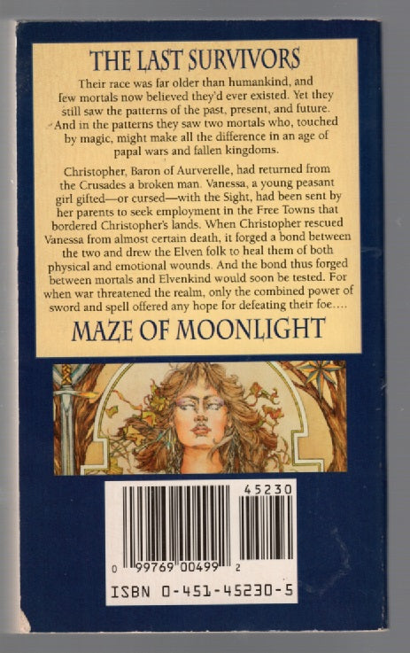 Maze of Moonlight fantasy paperback Books