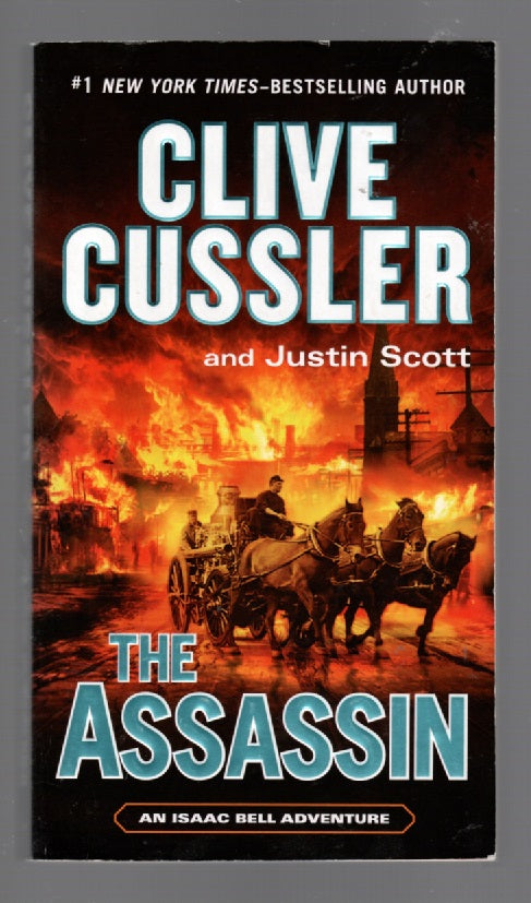 The Assassin paperback thrilller Books