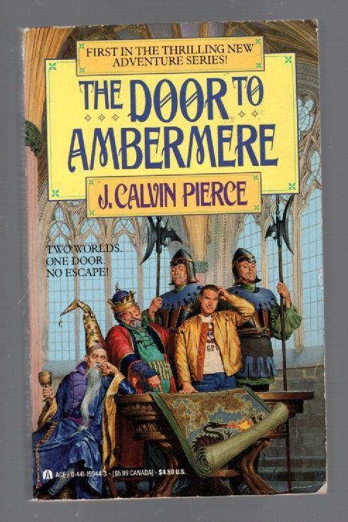 The Door To Ambermere fantasy paperback used Books