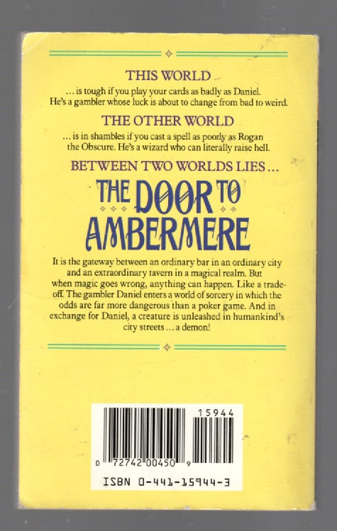 The Door To Ambermere fantasy paperback Books