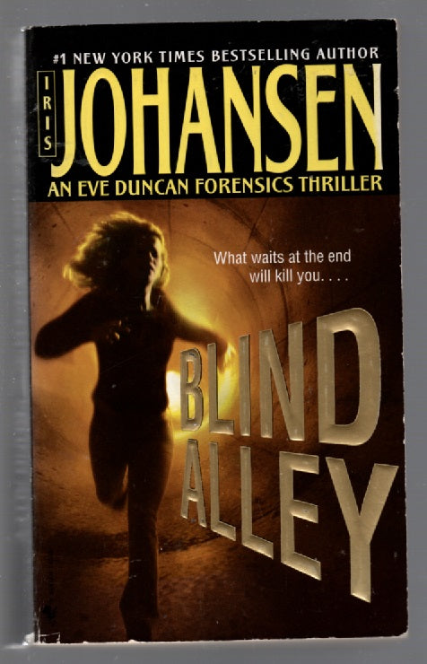 Blind Alley Crime Fiction paperback thrilller Books