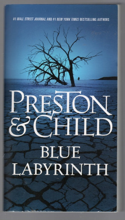 Blue Labyrinth paperback Suspense thrilller book
