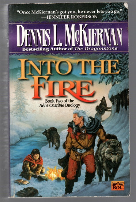 Into the Fire fantasy paperback Books