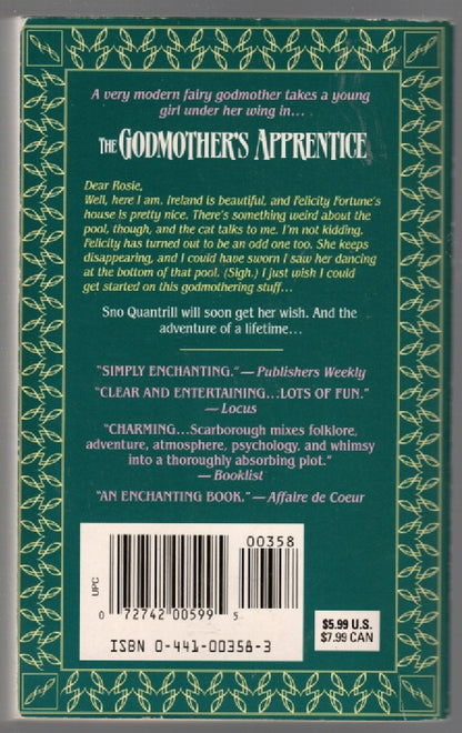 The Godmother's Apprentice cat fantasy paperback used Books