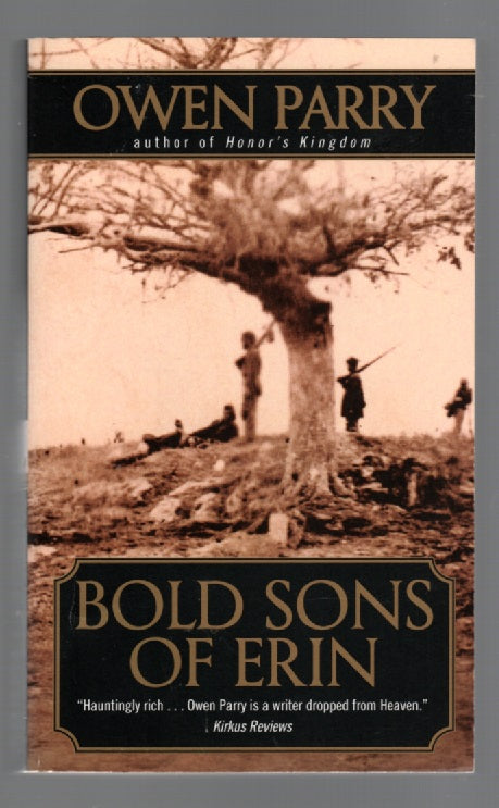 Bold Sons Of Erin Civil War historical fiction Military Fiction paperback Books