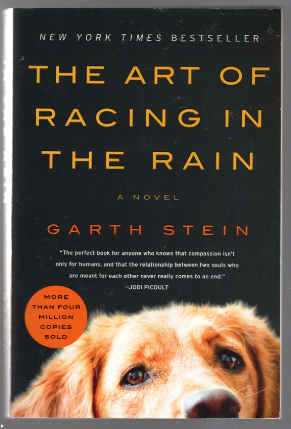 The Art of Racing in the Rain Literature paperback Books