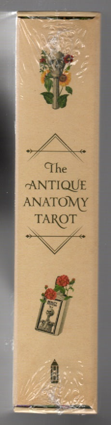 Antique Anatomy Tarot new age occult Oracle cards spiritual tarot tarot