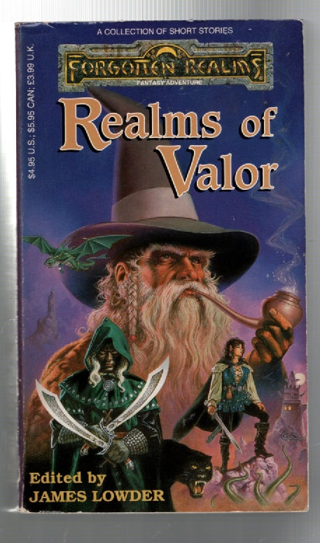 Realms Of Valor fantasy Books