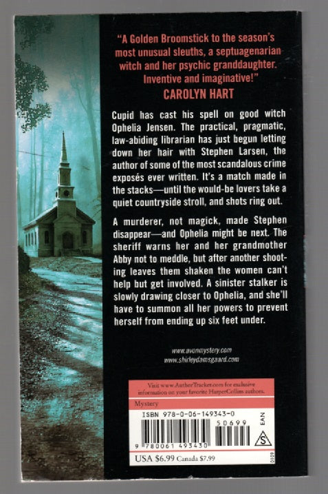 The Witch's Grave Crime Fiction fantasy mystery paperback book