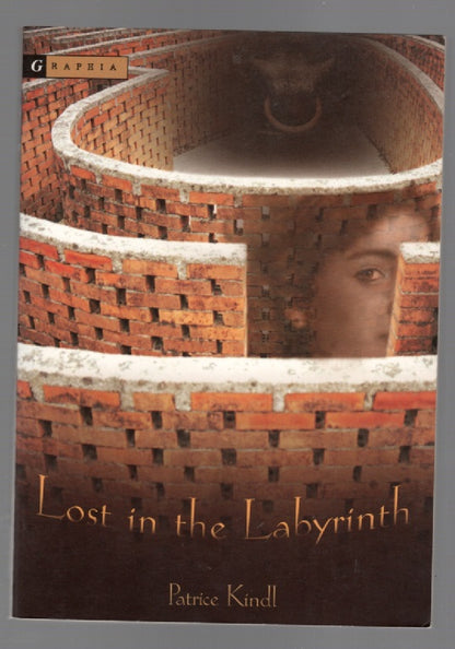 Lost In The Labyrinth fantasy paperback book