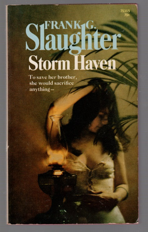 Storm Haven historical fiction paperback Romance Books