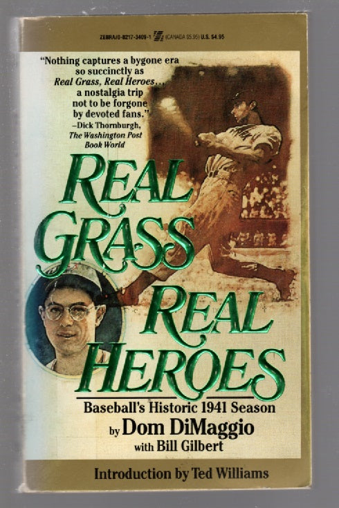 Real Grass, Real Heroes Baseball biography History Nonfiction paperback sports Vintage Books