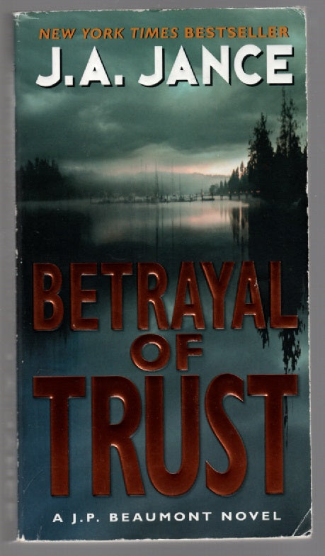 Betrayal Of Trust Crime Fiction mystery paperback thrilller book