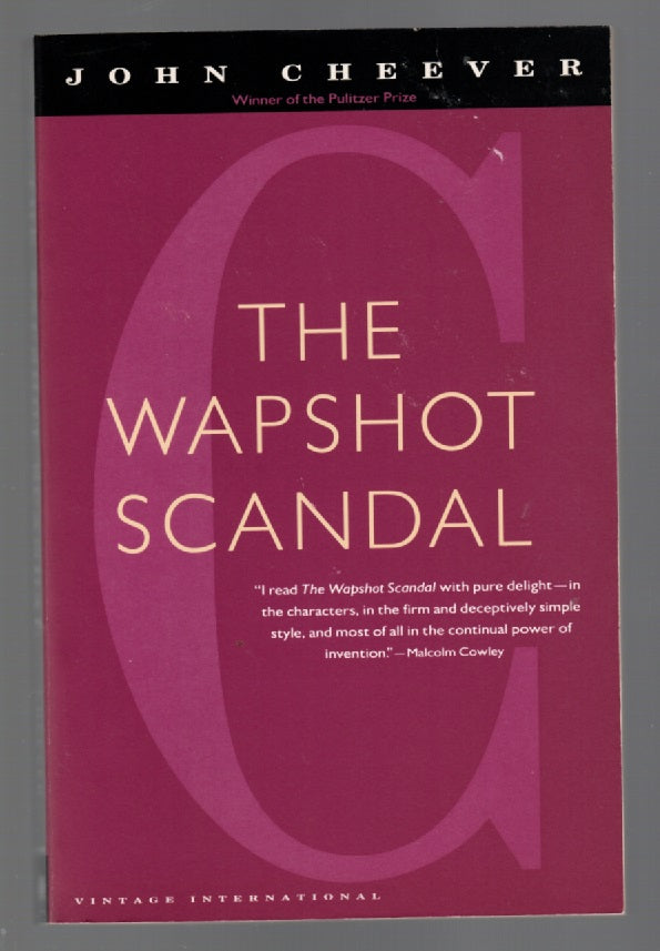 The Wapshot Scandal Literature paperback Books