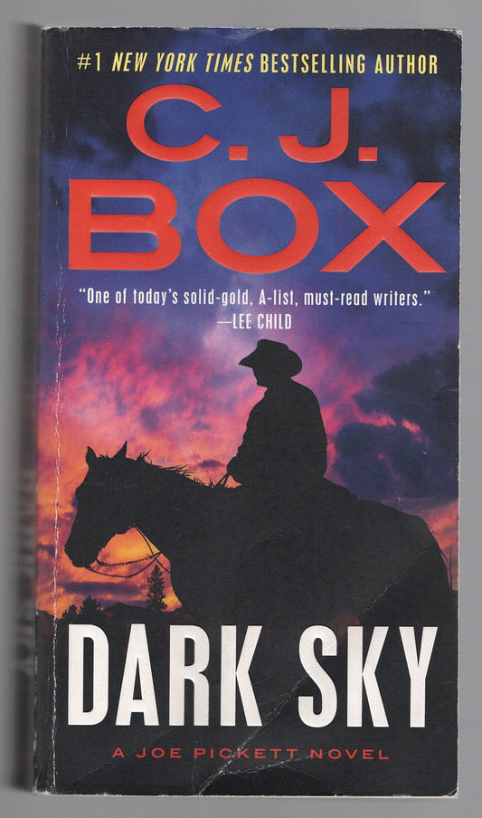 Dark Sky Crime Fiction mystery Books