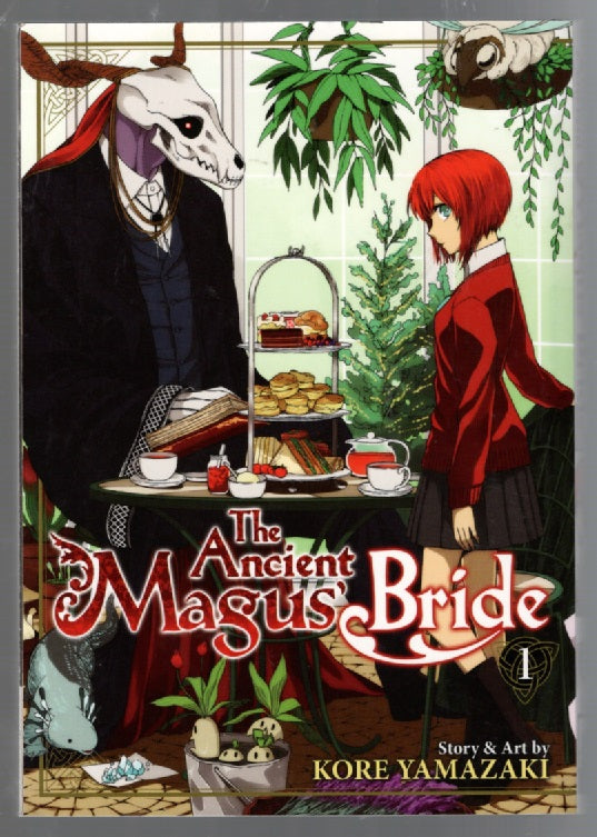 The Ancient Magus Bride #1 fantasy Manga paperback Young Adult Books