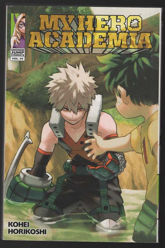 My Hero Academia Vol. 29 Action Children Graphic Novels Manga science fiction Young Adult Books