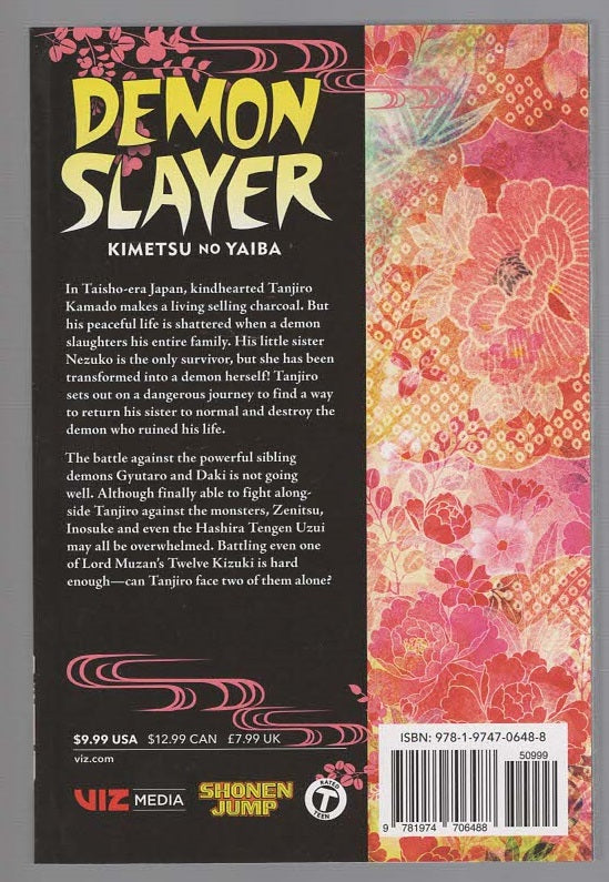 Demon Slayer Vol. 11 fantasy Graphic Novels Manga science fiction Books