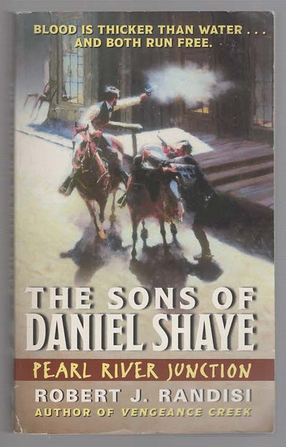 The Sons Of Daniel Shaye Action Western Books